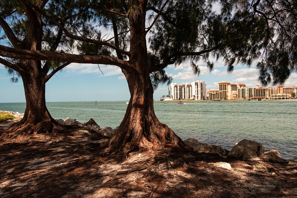 Clearwater Waterway