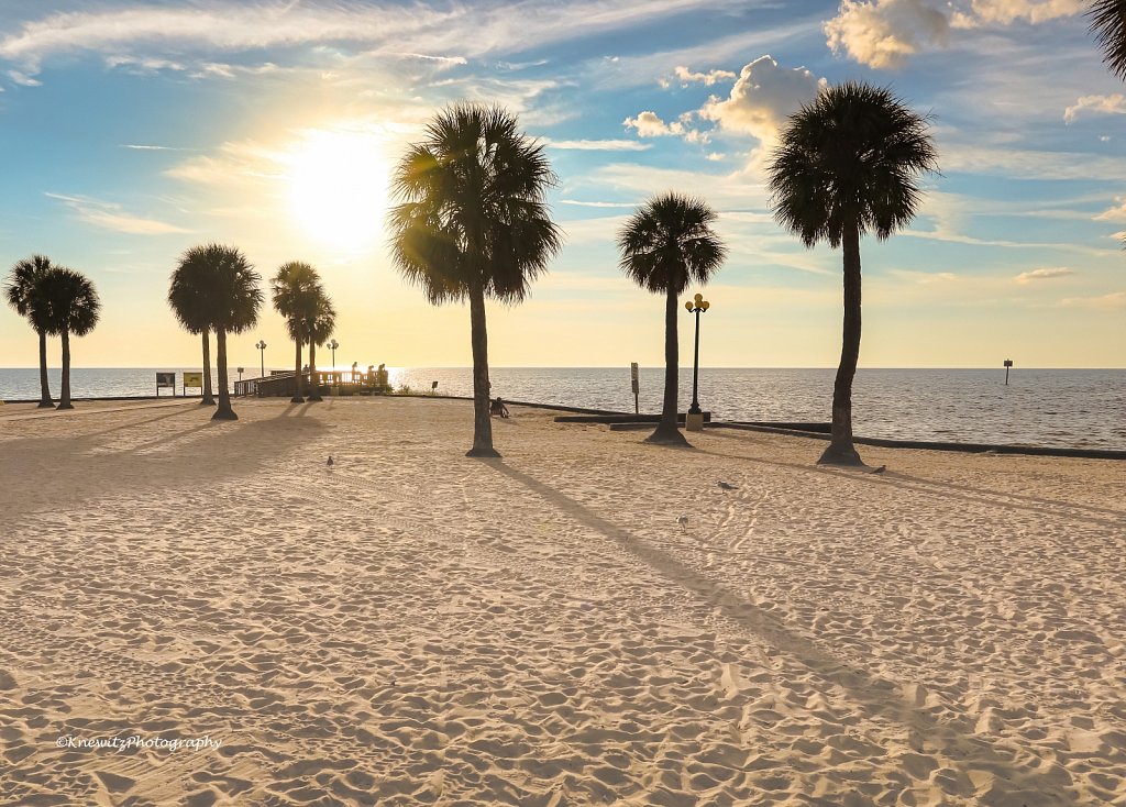 Palms at the Beach
