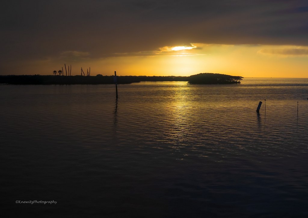 Sunlight on the Water