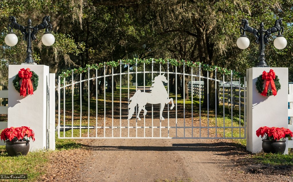 Florida Ranch