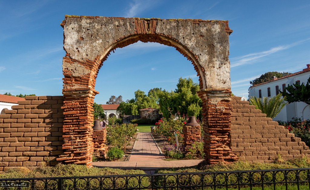 The Rose Garden