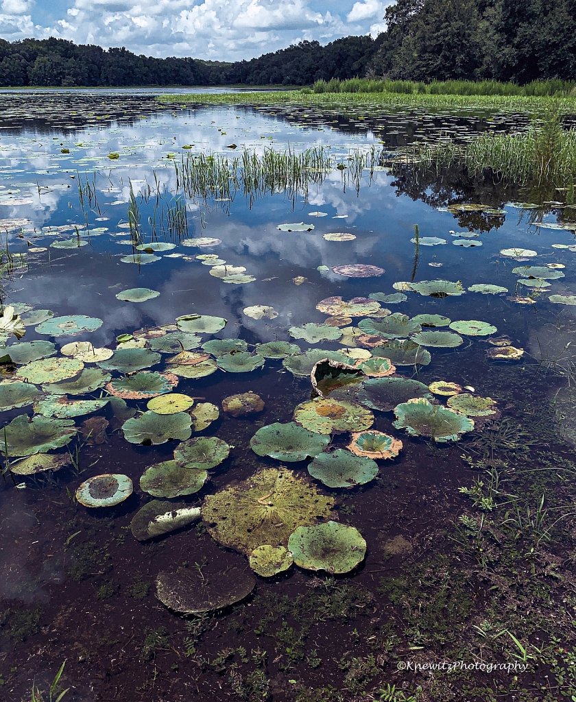 McKethan Lake
