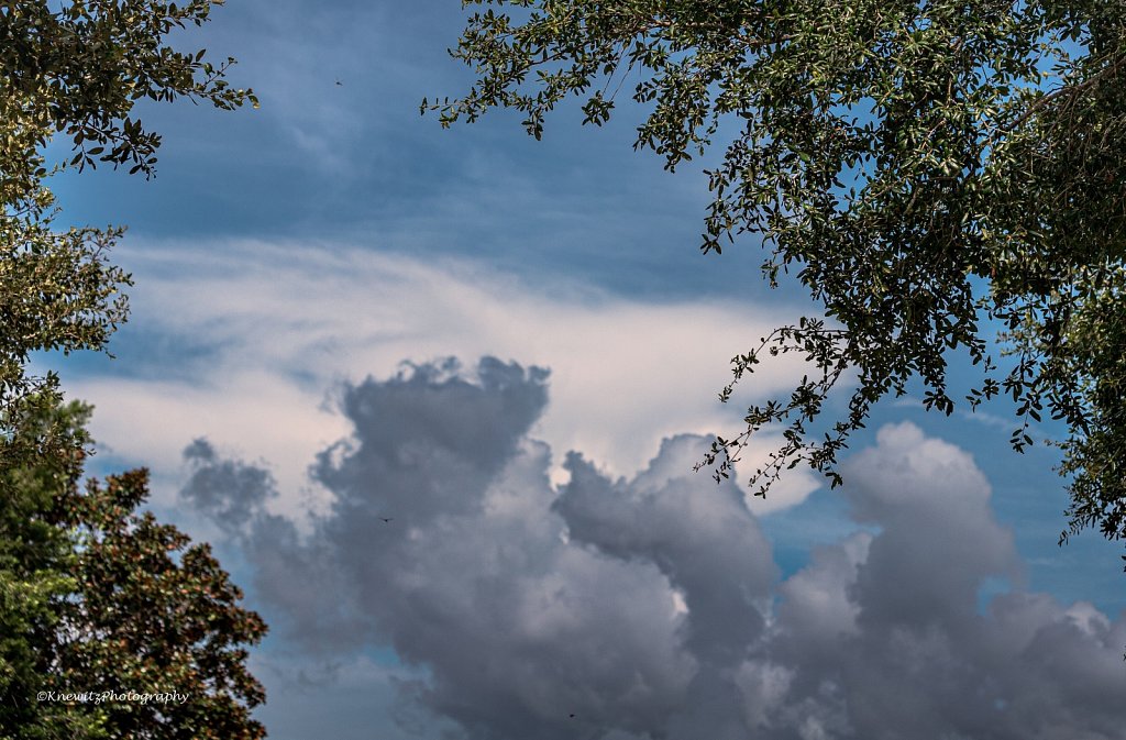 150906CE-FBEF-4AC2-B067-89B747E4F949.jpeg