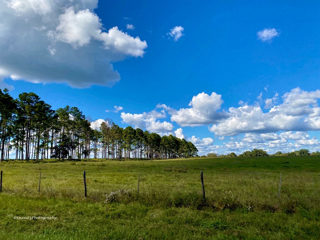 8733DAA1-DF99-48F3-AA09-B024E10F446E.jpeg