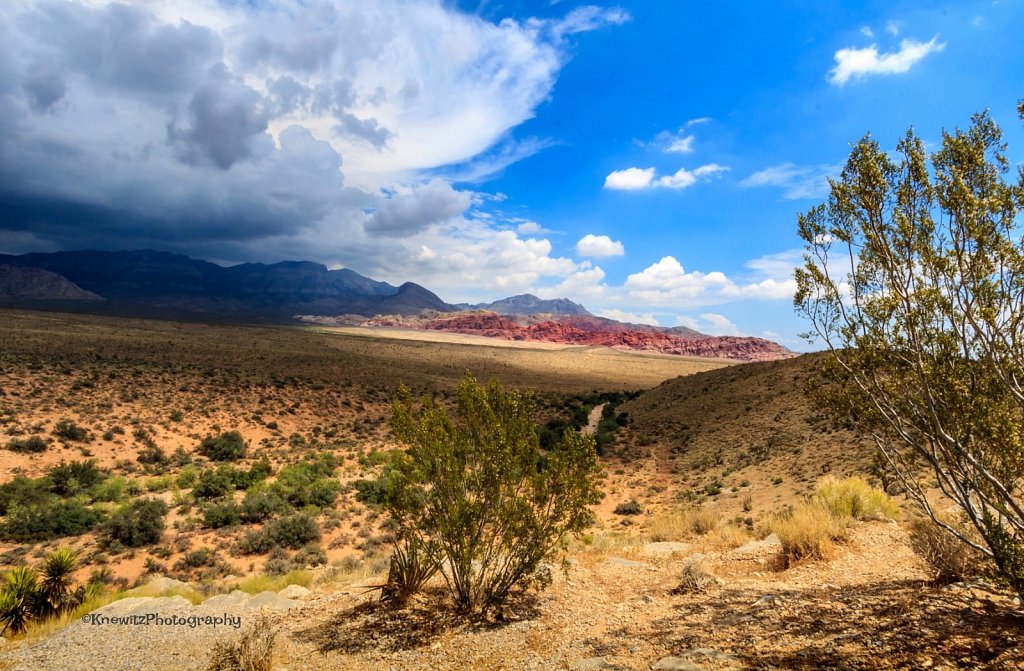 Red Rock Canyon