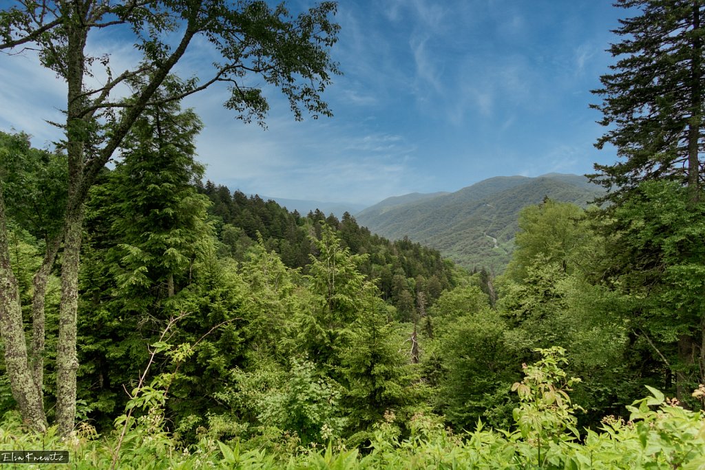 Smoky Mountains