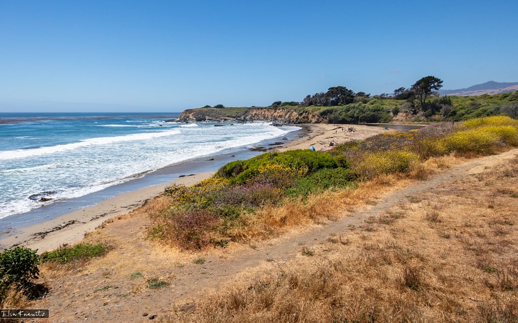 San Simeon Area