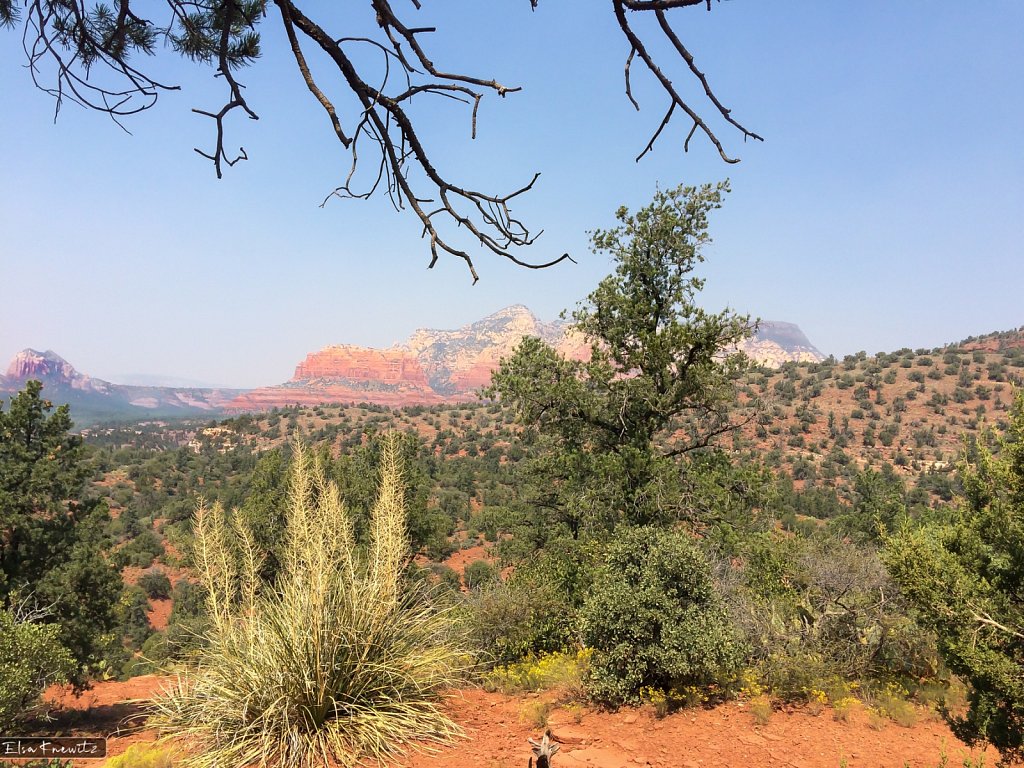 Sedona Mountain View