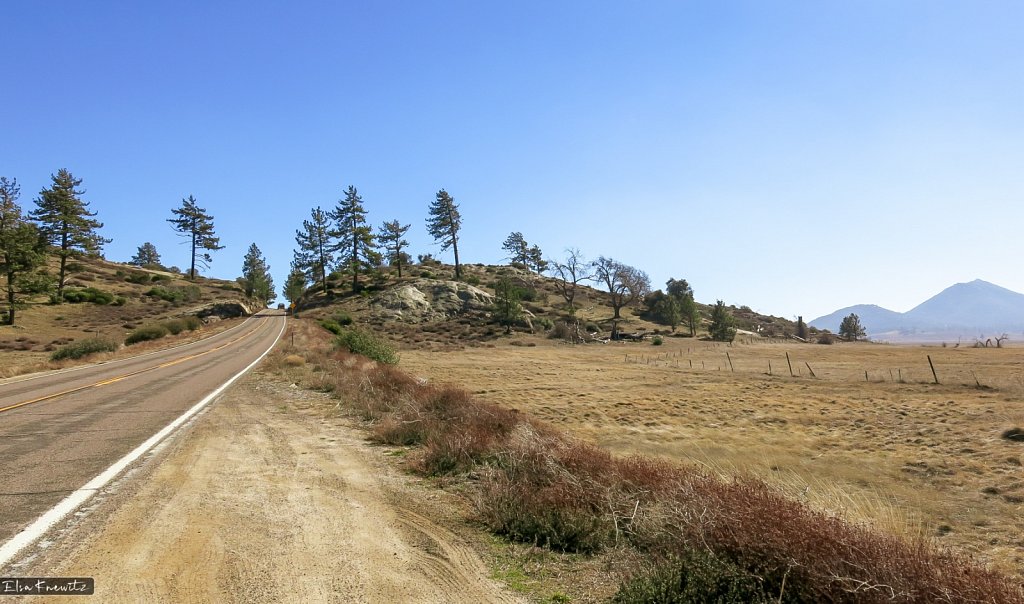 Sunrise Highway