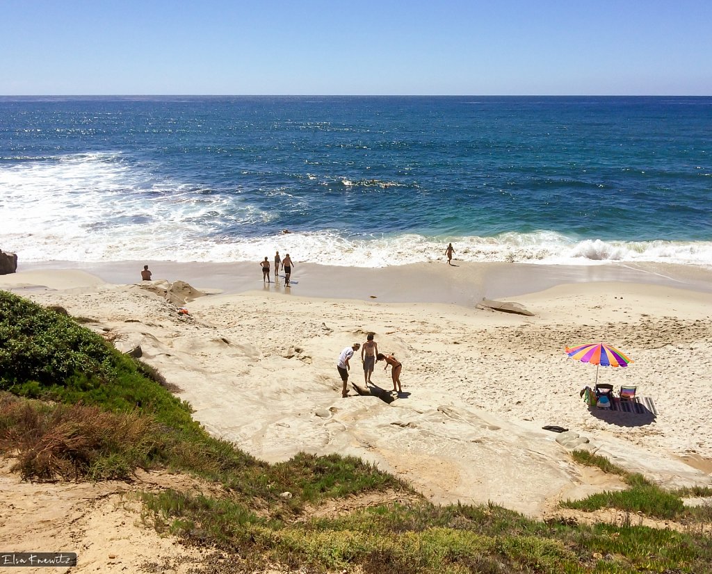 Sunny California Beach