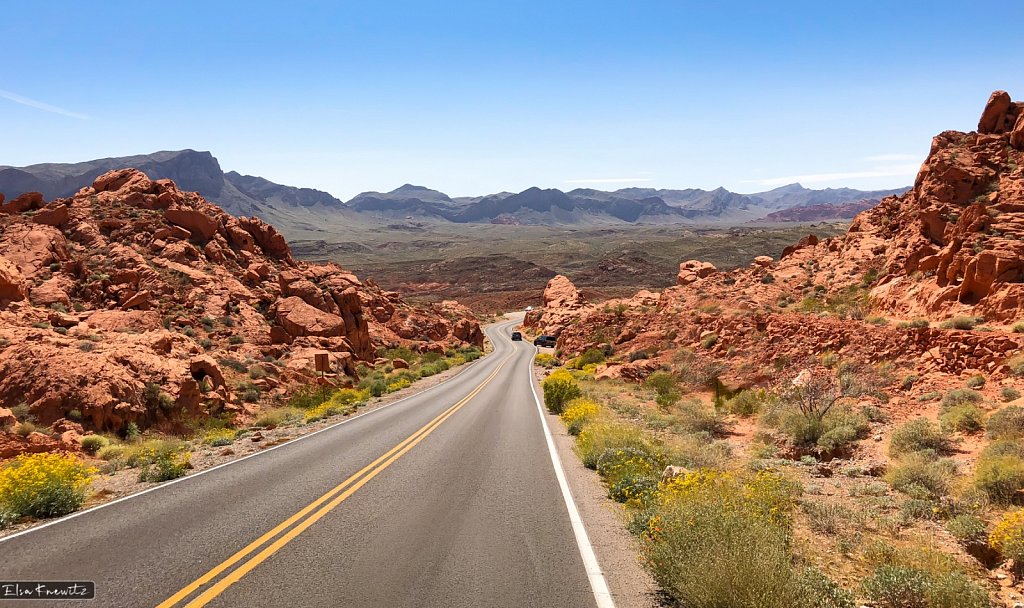 The Valley Of Fire
