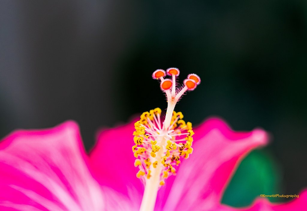 F77C9421-77CA-42EC-8502-F2013CFAE0BA.jpeg
