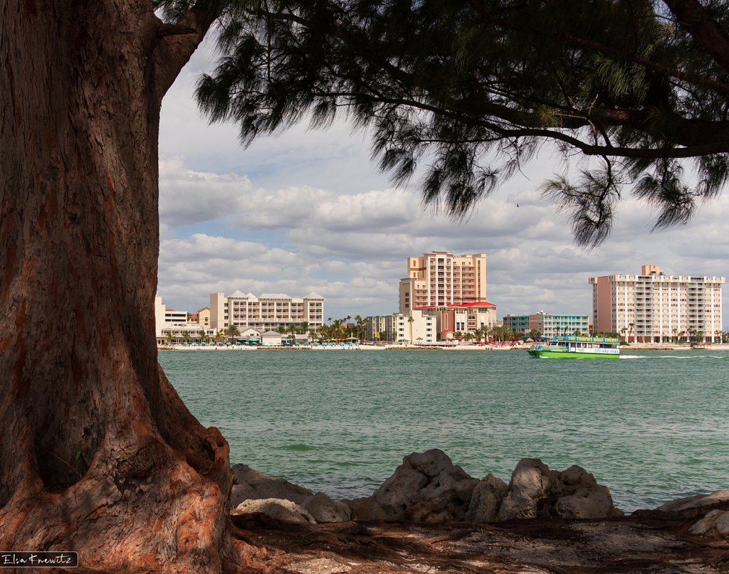 Clearwater Beach Waterway